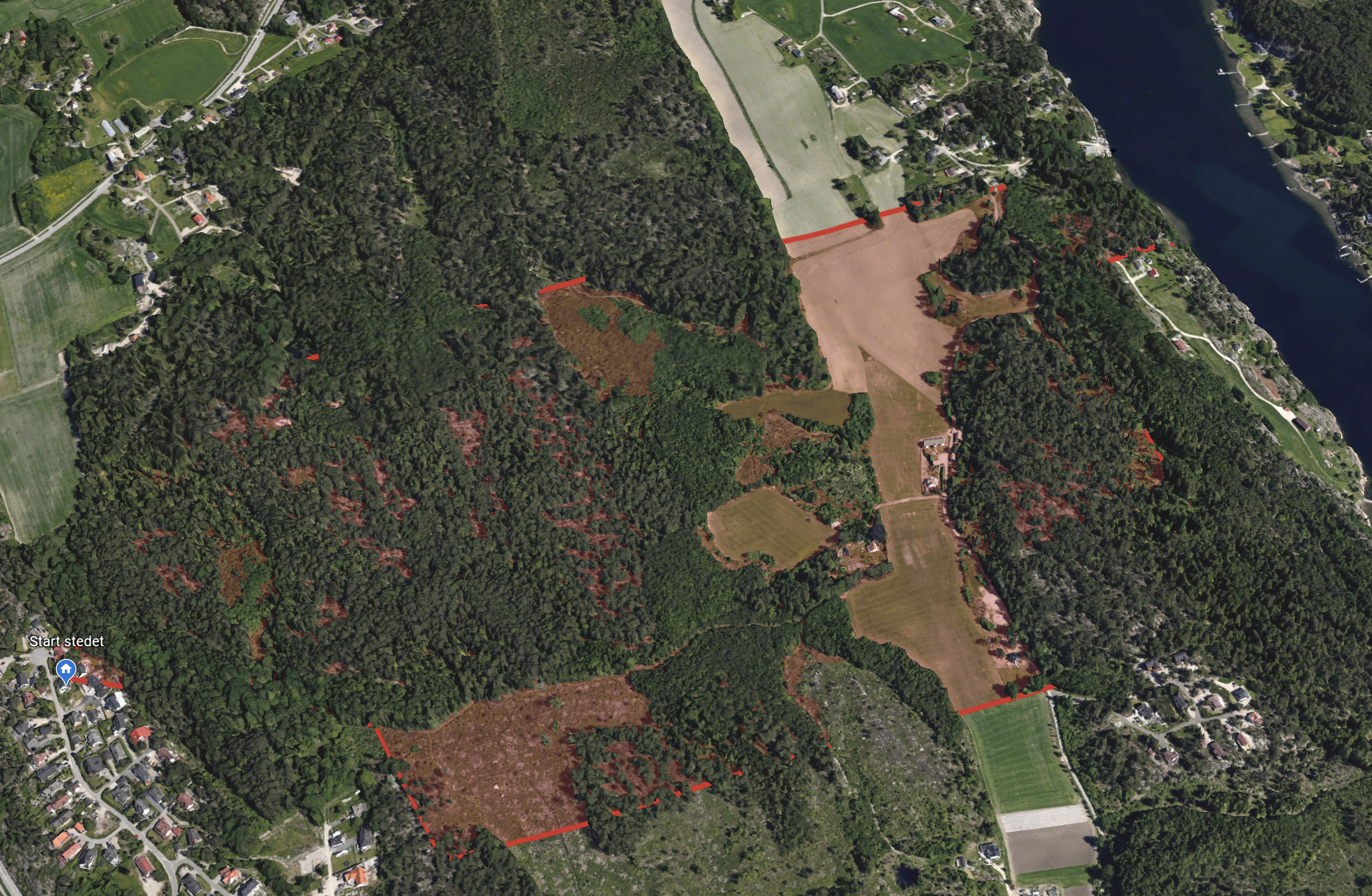 Bilde av området Ludde brukte til løype